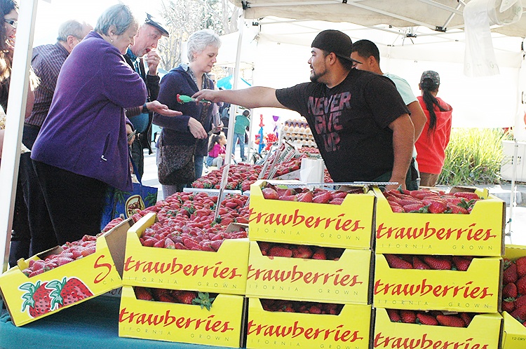 Independent Hometown Community Newspapers San Leandro News 2018