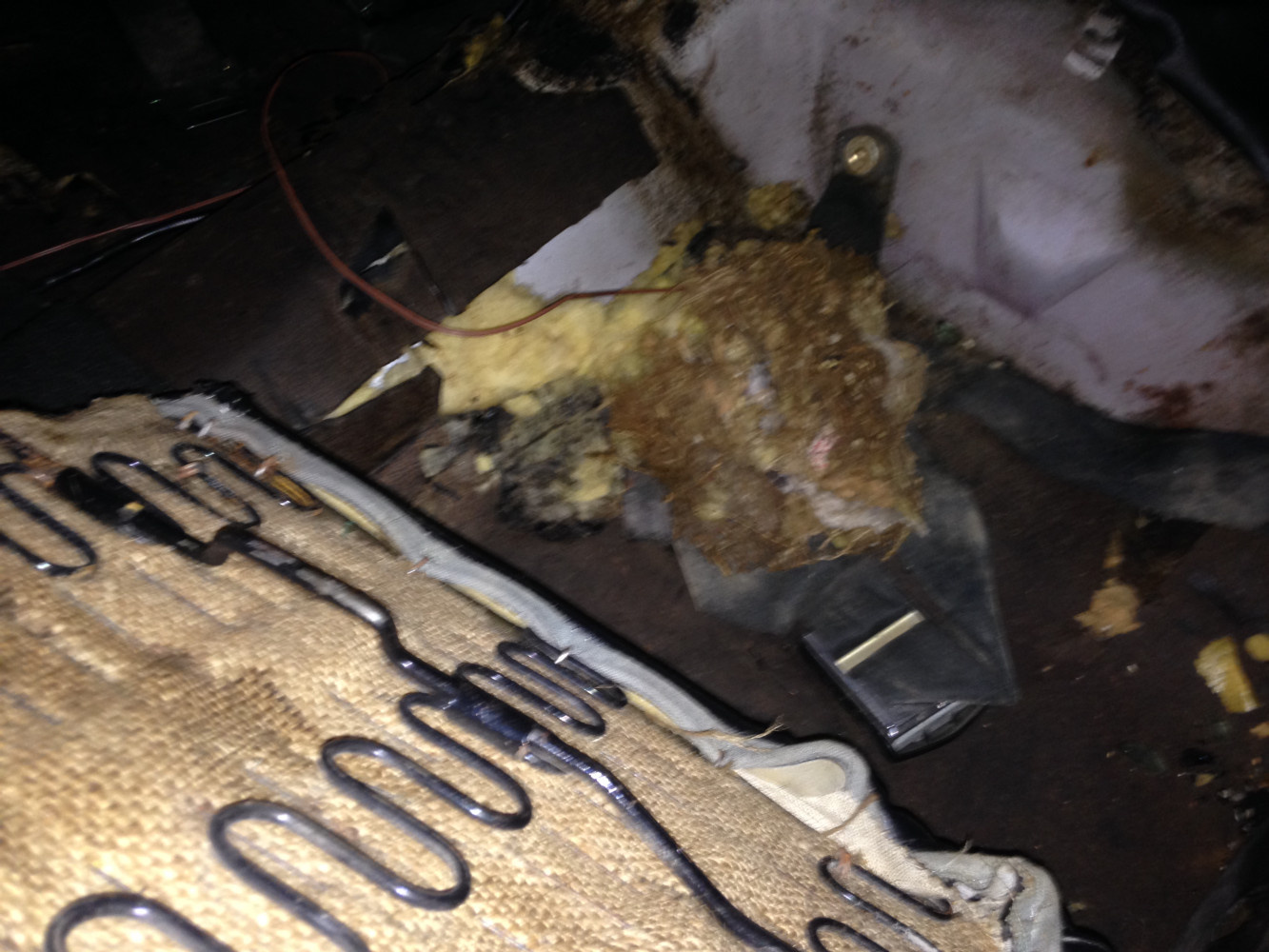 Back seat removed, looks like a rats nest was there.
No build sheet yet but may find the million dollar report!
