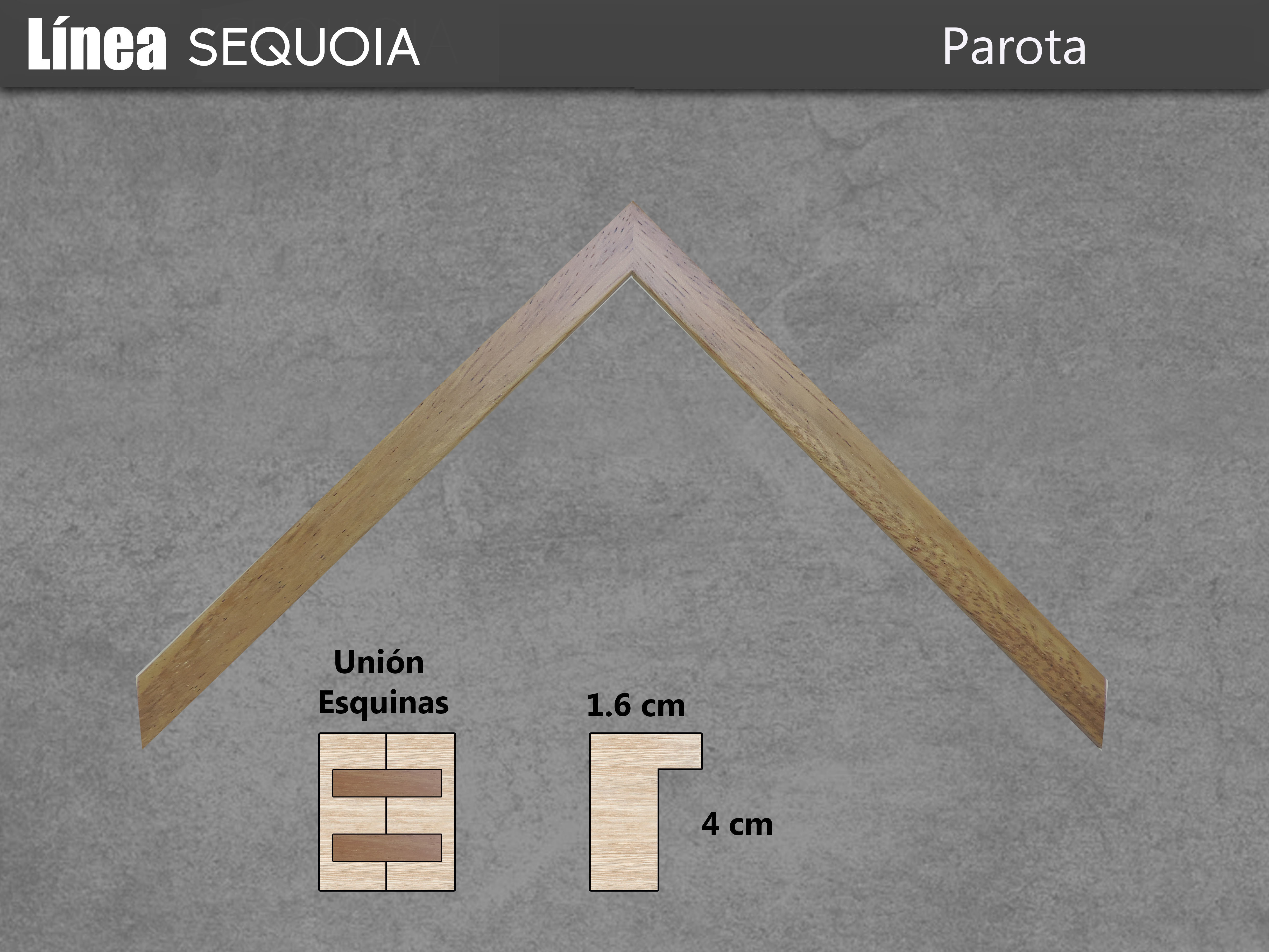 https://0201.nccdn.net/1_2/000/000/14a/078/AltaParota-4896x3672.jpg