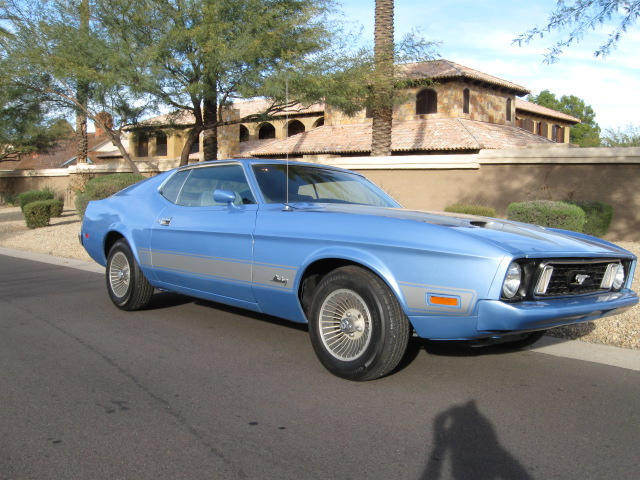 1973 MUSTANG FASTBACK
MACH 1 05 VIN CODE
$16,000 NICE   SOLD