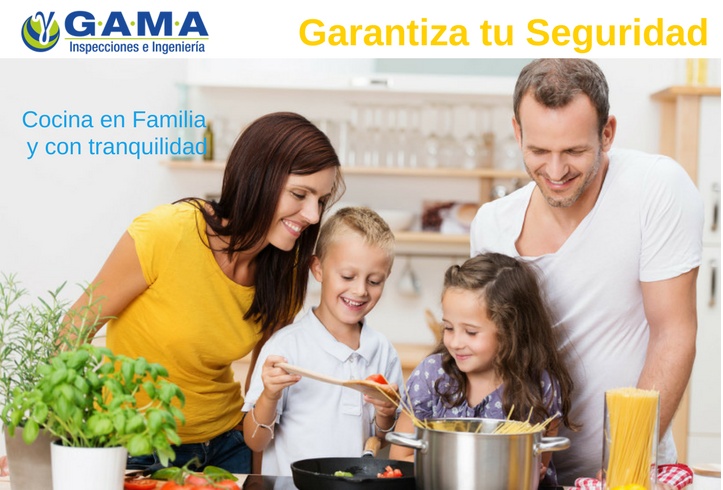 https://0201.nccdn.net/1_2/000/000/14a/950/GAMA-INSPECCIONES-Cocina-en-Familia--y-con-tranquilidad-723x490.jpg