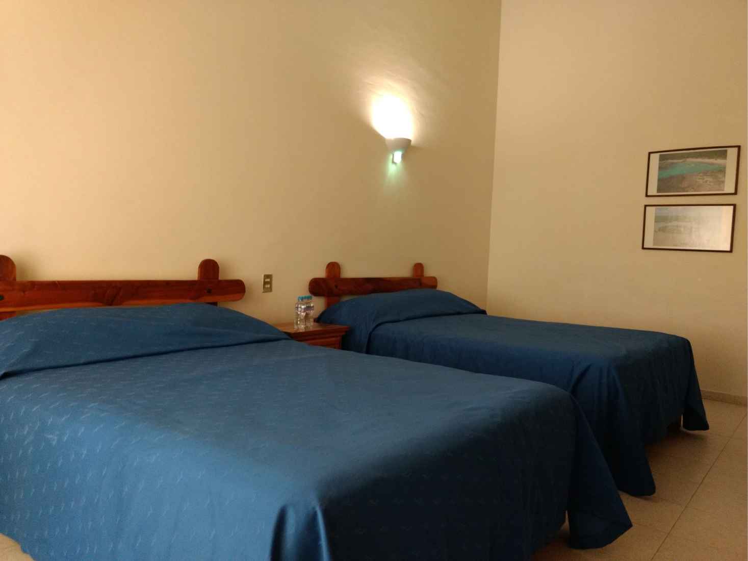 Hotel El Coronel - Jardín