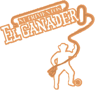 Logotipo