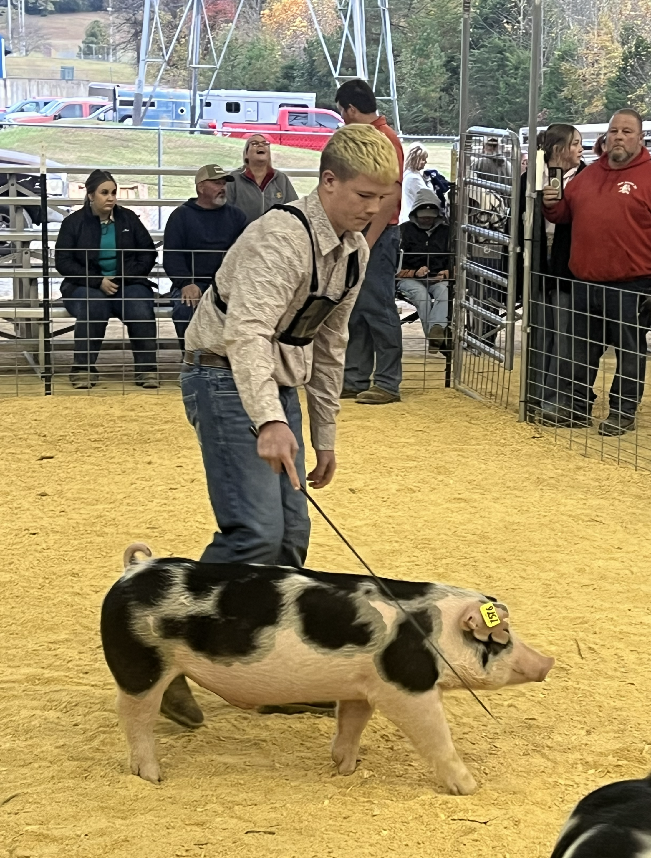 Weston Satterfield
2025 Big Orange Fall Classic
Champion Tennessee Bred
Spot Barrow