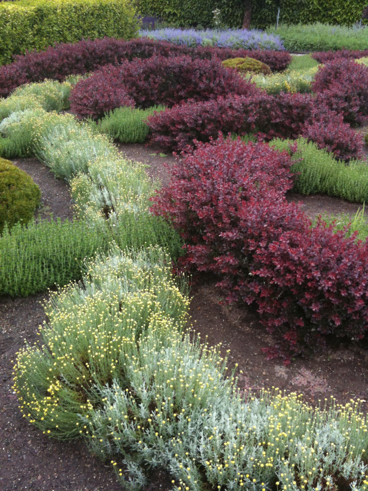 This is called a knot garden, interweaving rows of plants to create lines. 