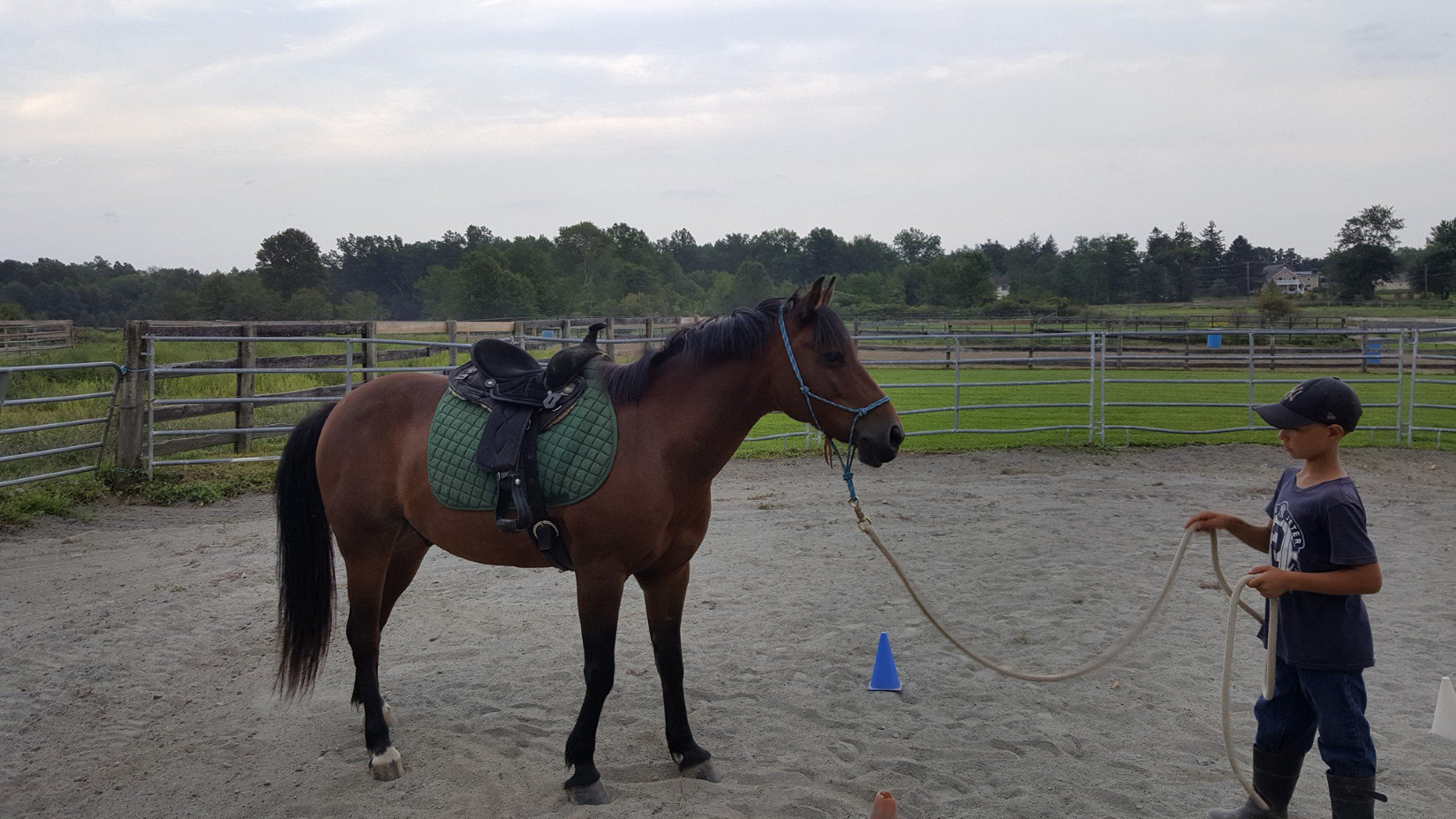 Cosmo working on his pre-riding requirement