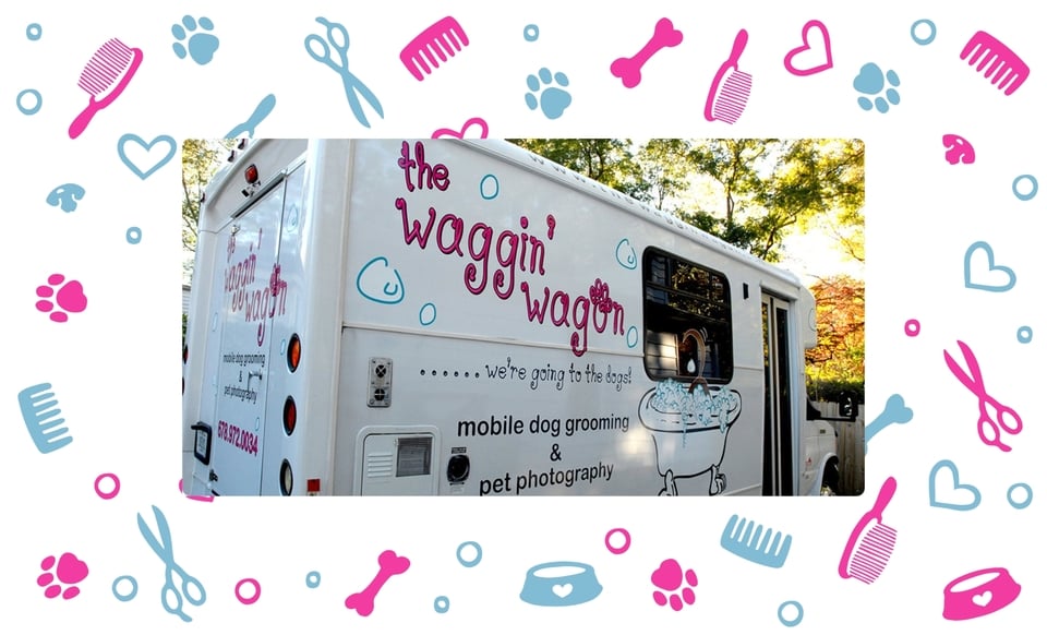 Shaggin waggin 2025 pet grooming