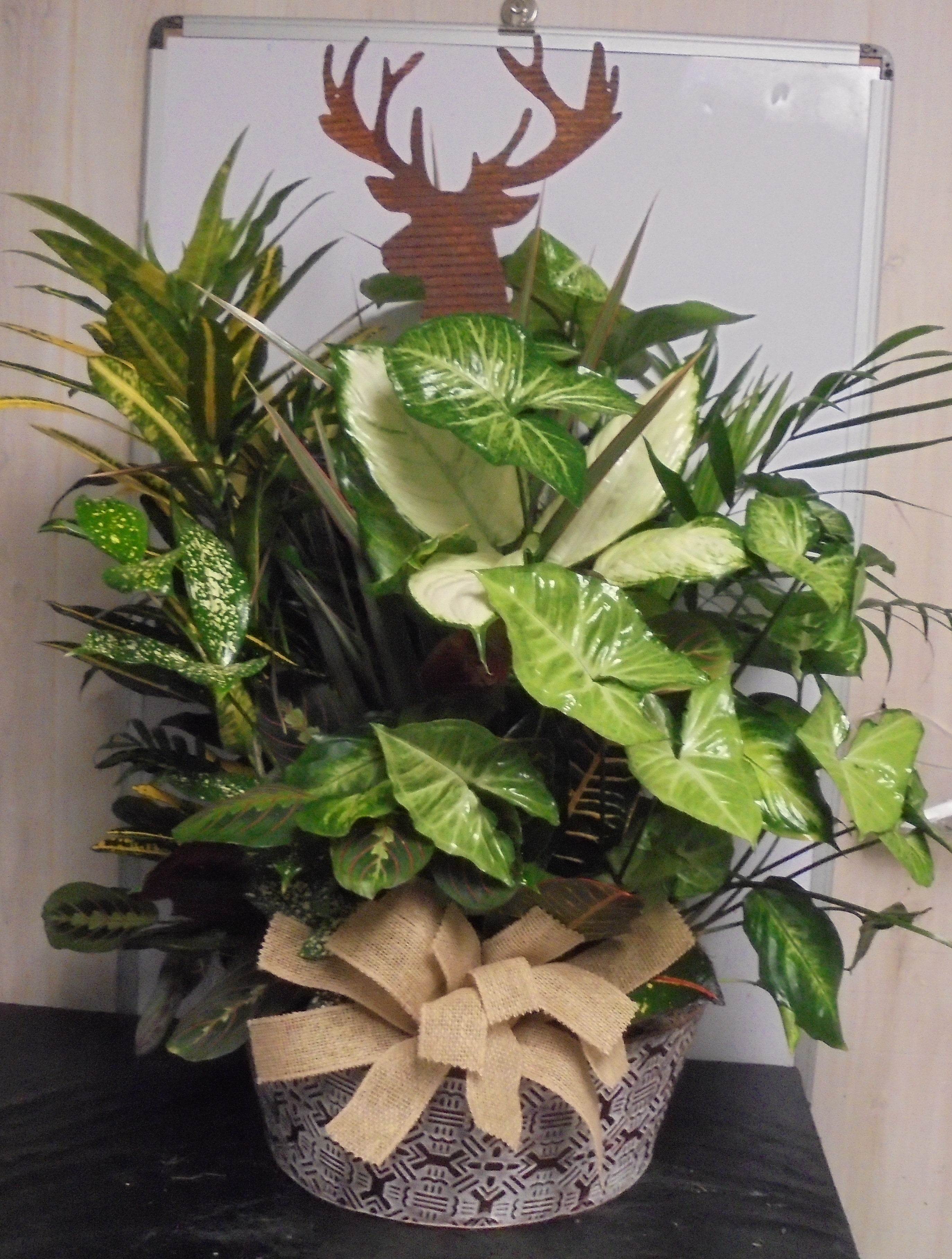 (10) Dish-Garden Plant (Metal)
W/ Deer
$115.00