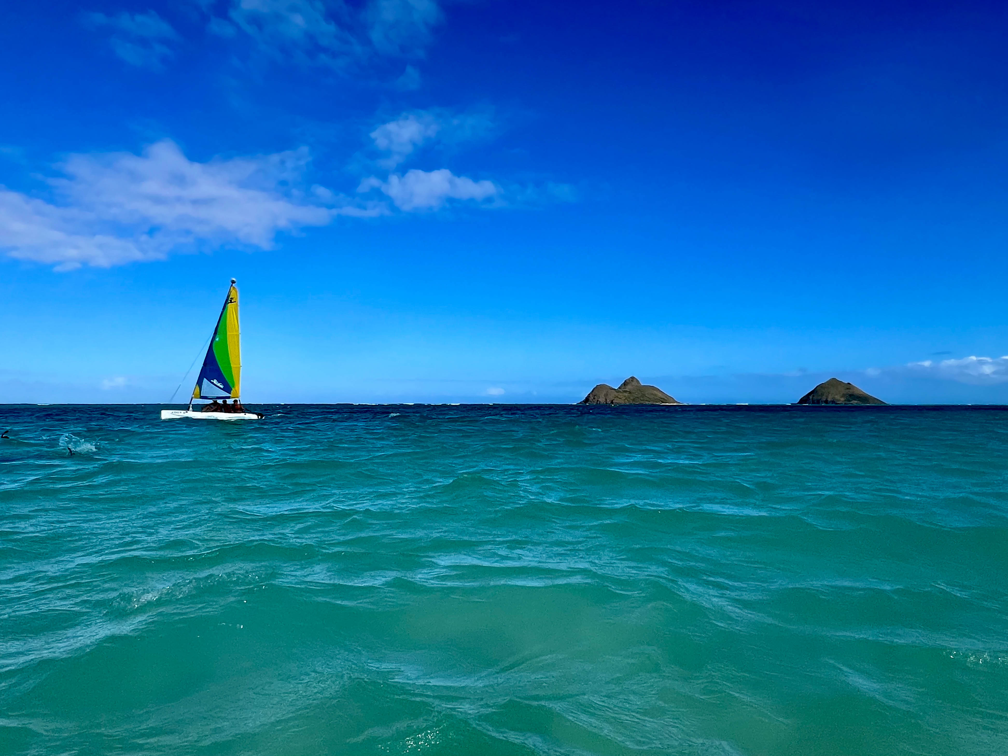 https://0201.nccdn.net/1_2/000/000/14d/361/hawaii-order-111.jpg