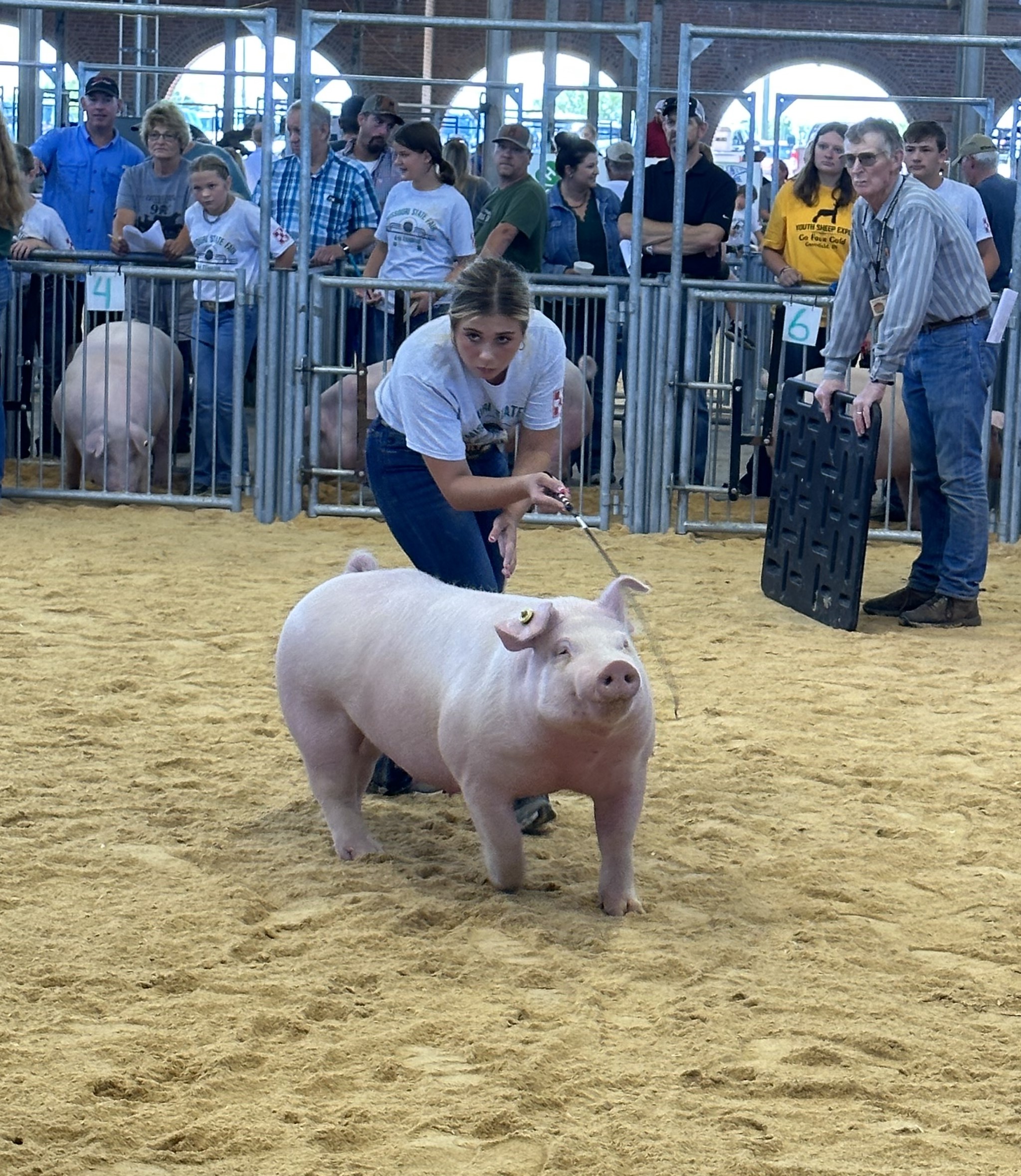 Lena Stricklin
2023 Crawford County
 Summer Spectacular - Cuba, MO
Grand Champion Chester Gilt
2023 SCMO Jackpot Show 
Houston, Missouri
Grand Champion Chester Breed
Overall Reserve Champion Gilt
