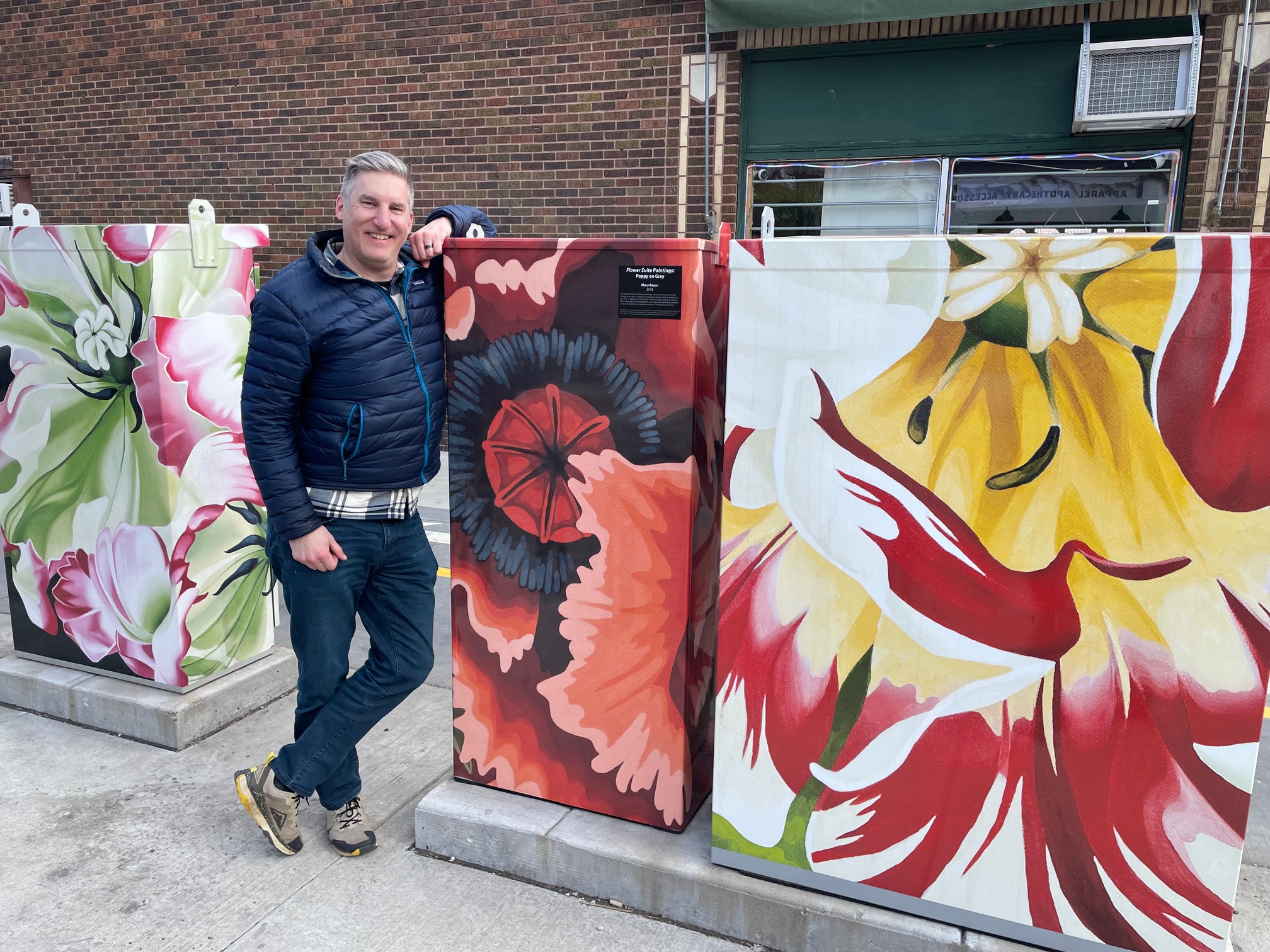 Electrical Box Murals
