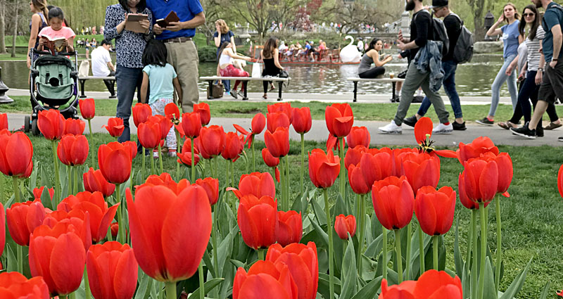 Snowy Winter in Maine