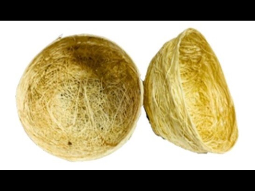 PL01 PAQUETE NIDO DE IXTLE 
6 PZS