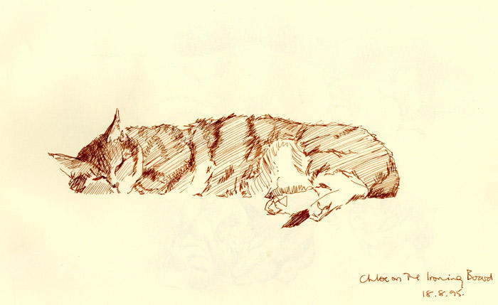 Chloe on the Ironing Board (pen and ink)