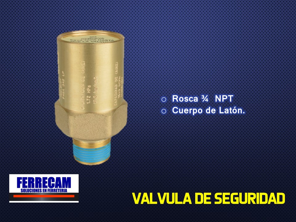 https://0201.nccdn.net/1_2/000/000/14d/8be/valvula-de-seguridad.jpg