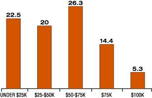 Income Demographics