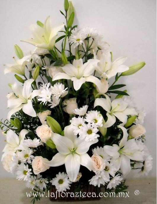 LFA-W012
Precio $1,290