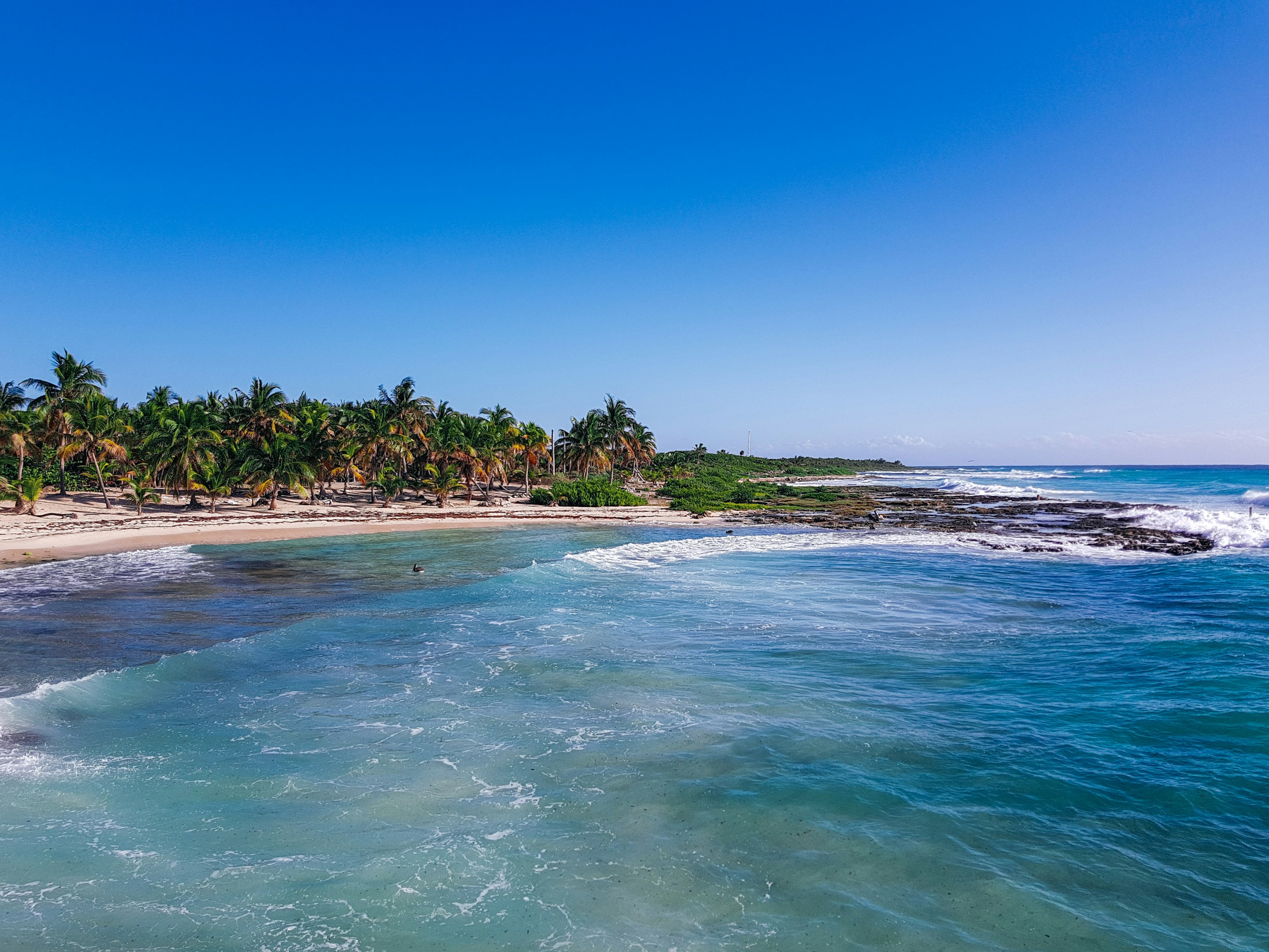 Calle empedrada con fachadas coloridas y montañas al fondo, un árbol y dos perros caminando.