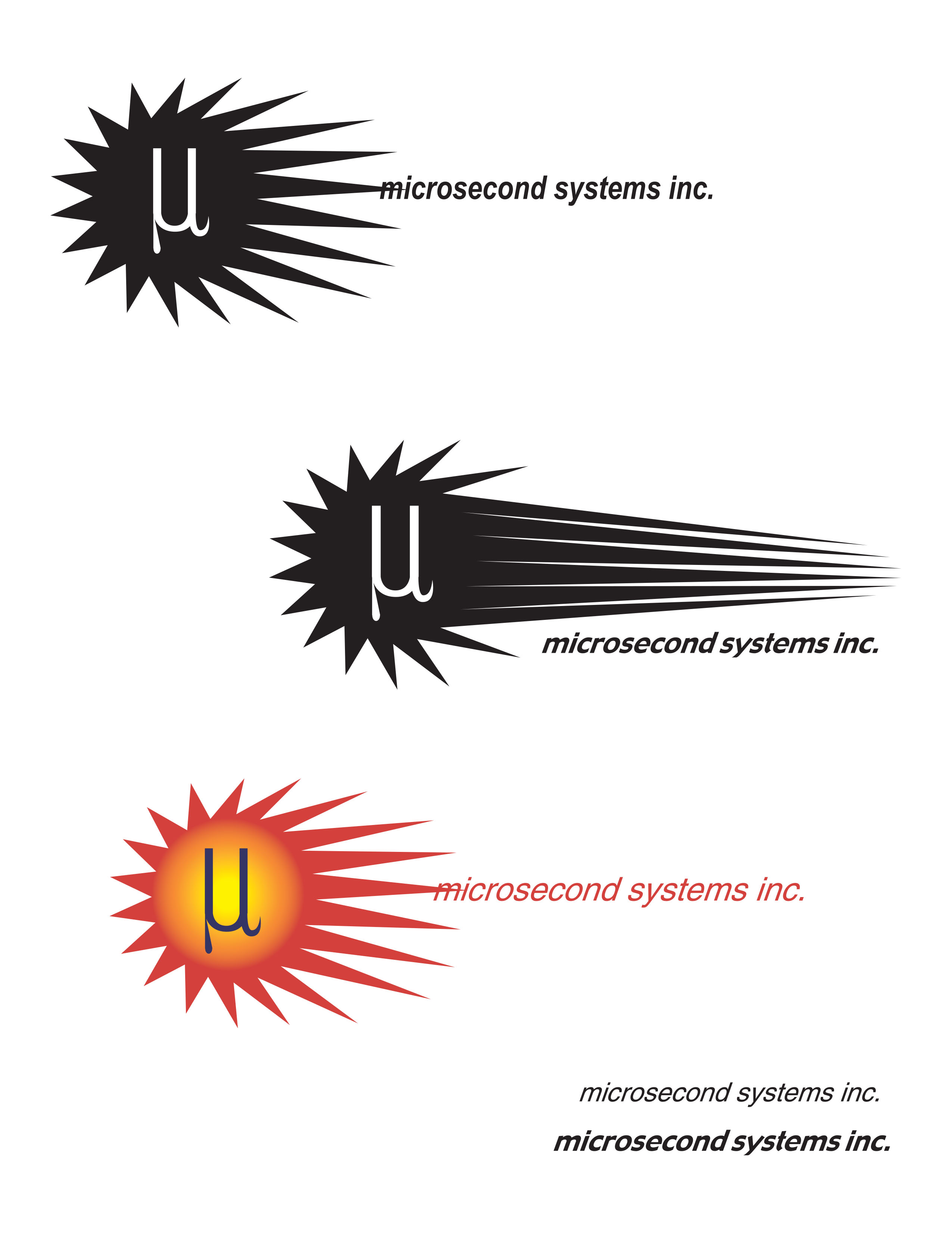 MICROSECOND SYSTEMS INC.