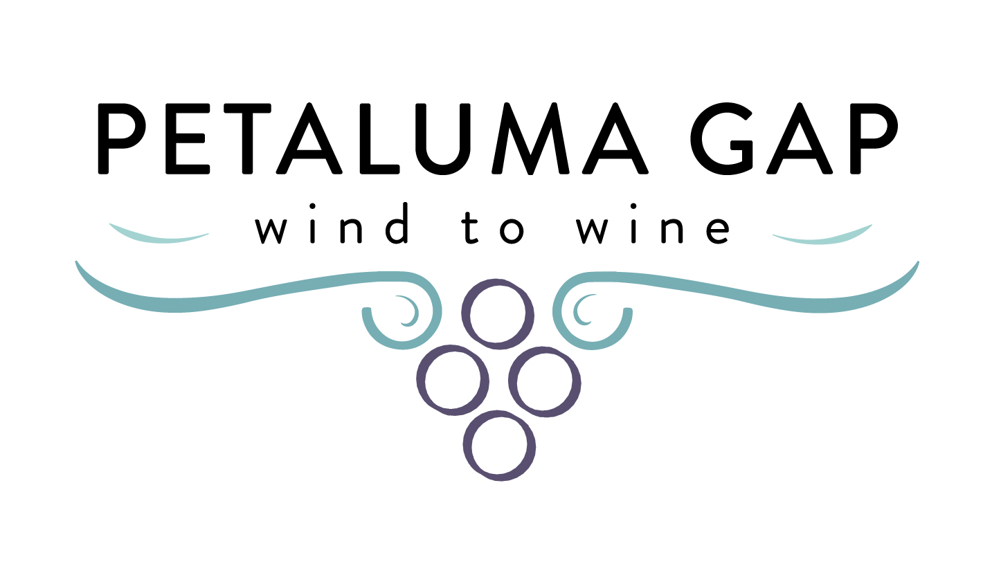 https://0201.nccdn.net/1_2/000/000/14e/9be/petalumagap-logo---2019.jpg