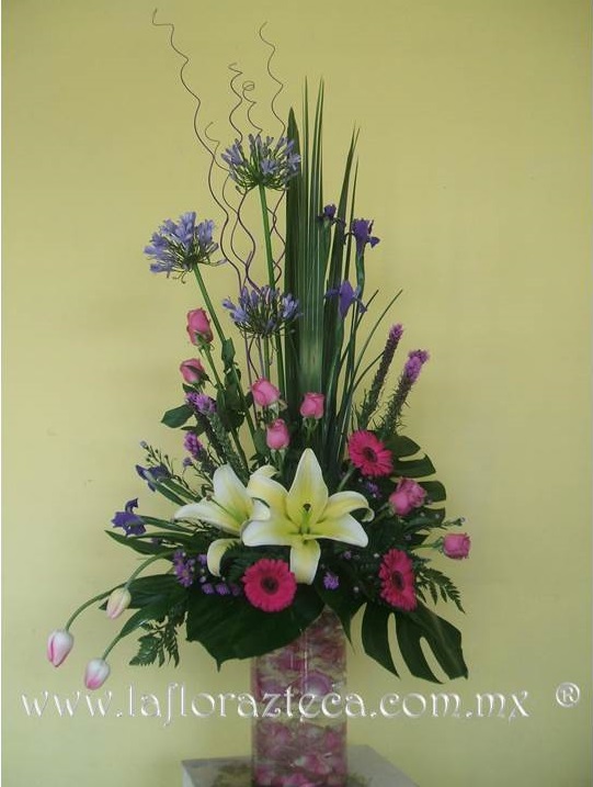 LFA-701
Precio $1,250