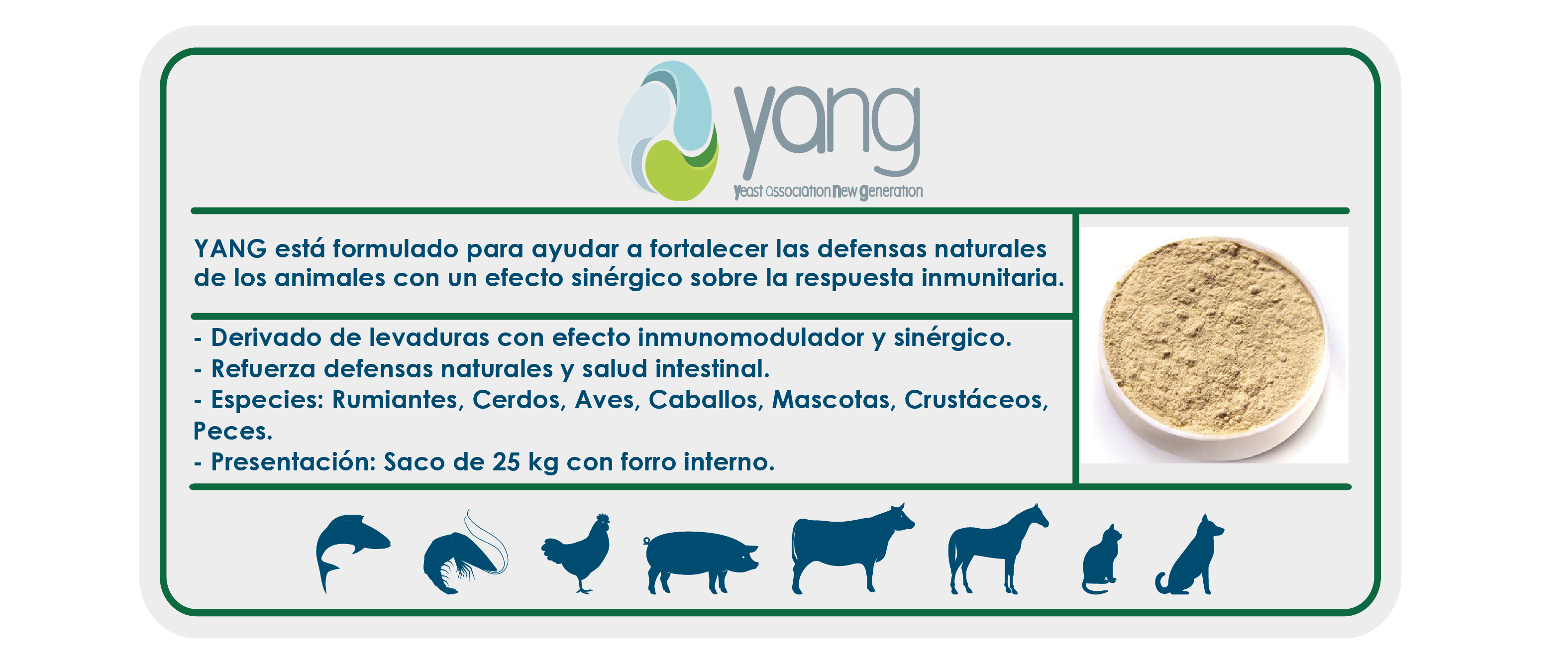https://0201.nccdn.net/1_2/000/000/14f/338/ficha_ecommerce-09.png