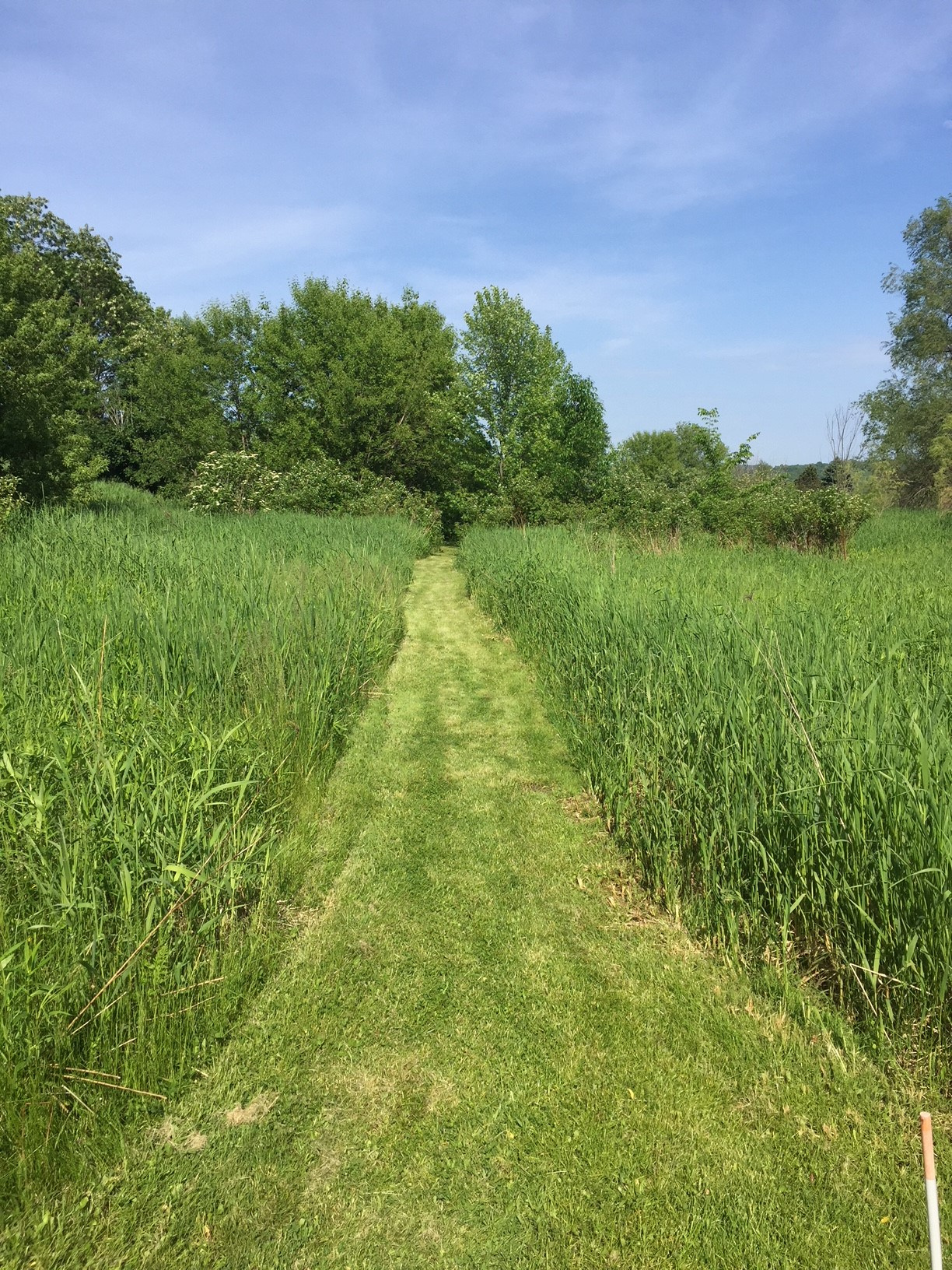 Extraordinary Life Prayer Garden