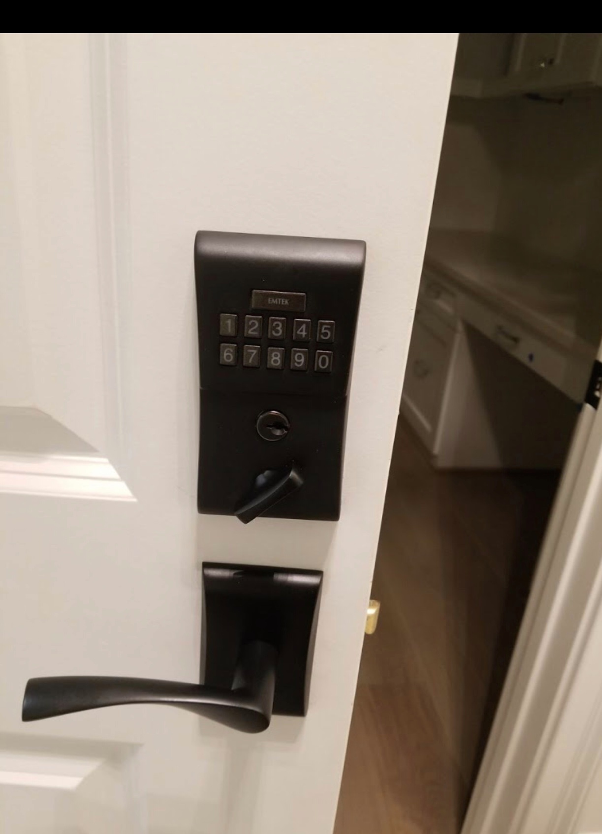 Door With EMTEX Keypad