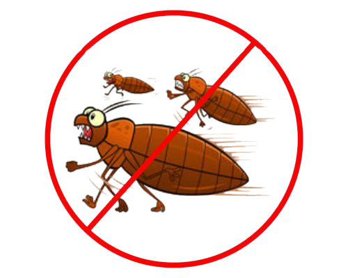 https://0201.nccdn.net/1_2/000/000/14f/707/insectos07-500x400.png