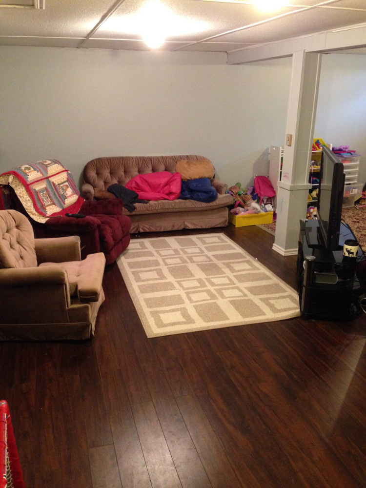 553 Michael Basement