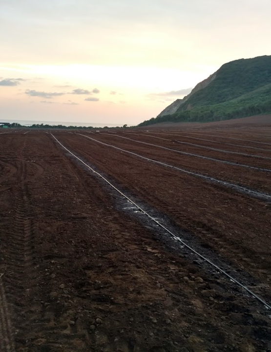 Preparación de tierra