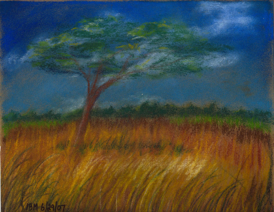 Tree in field ©ibm 6-29-07