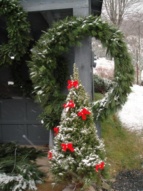 A snow covered Alberta spruce in front of a 36" Fraser fir and white pine wreath.