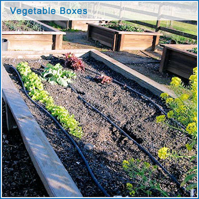 https://0201.nccdn.net/1_2/000/000/150/8b3/vegetable-boxes.jpg