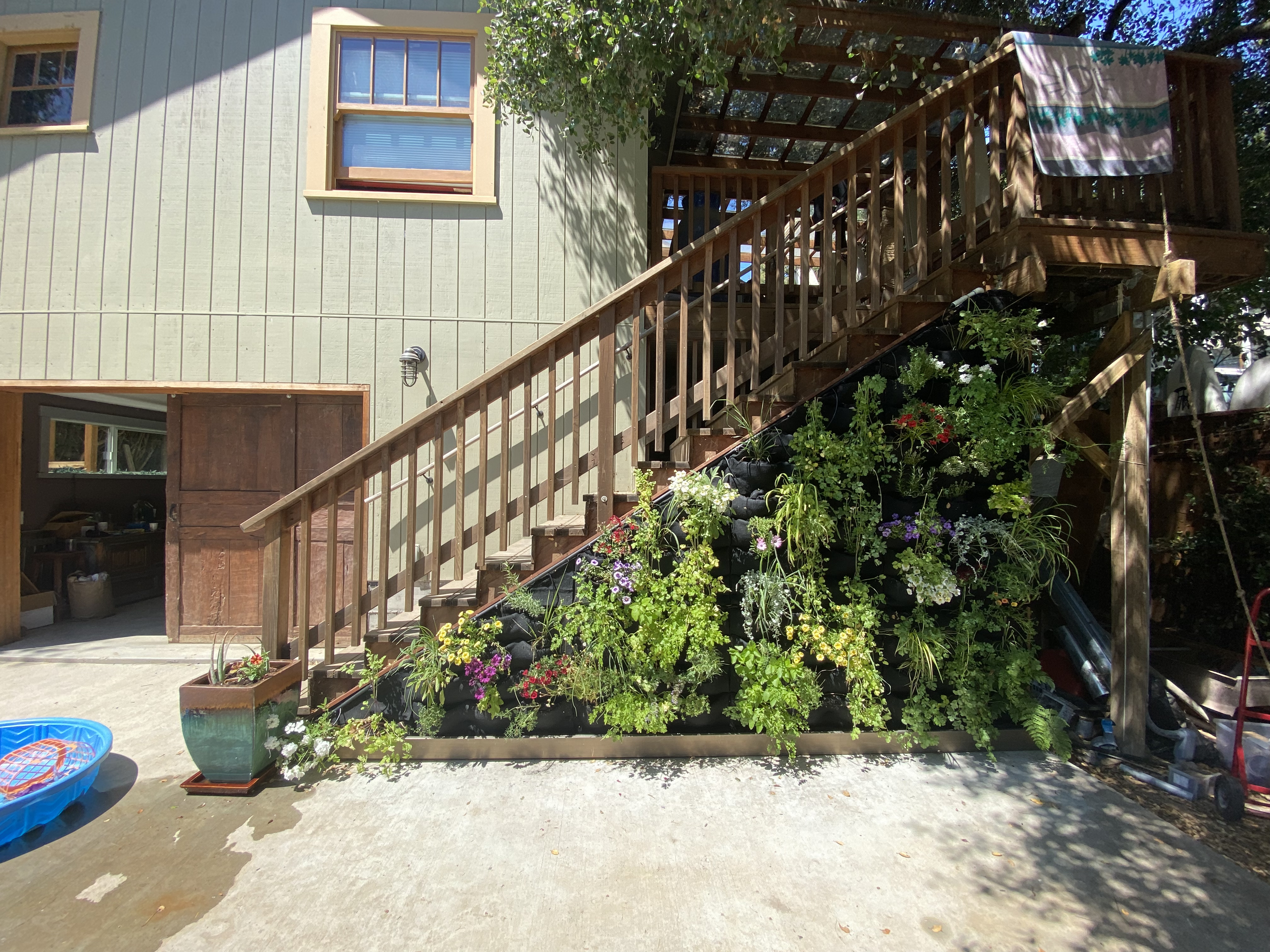 After - vertical wall with edible herbs and flowers