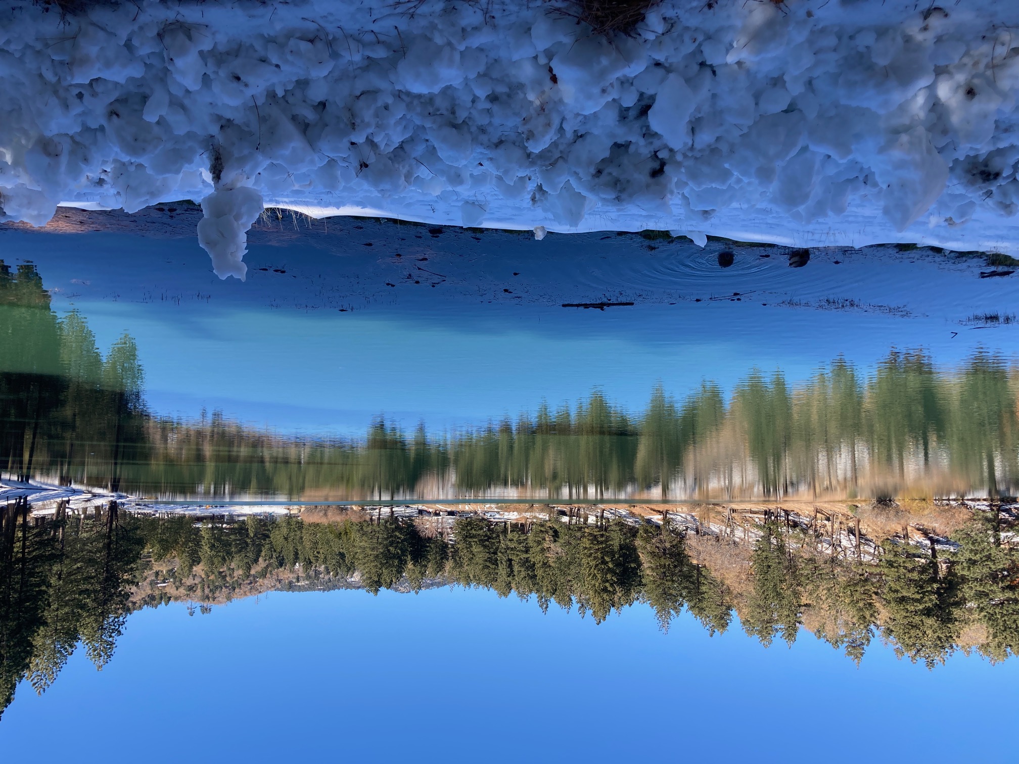 black and gray typewriter on table