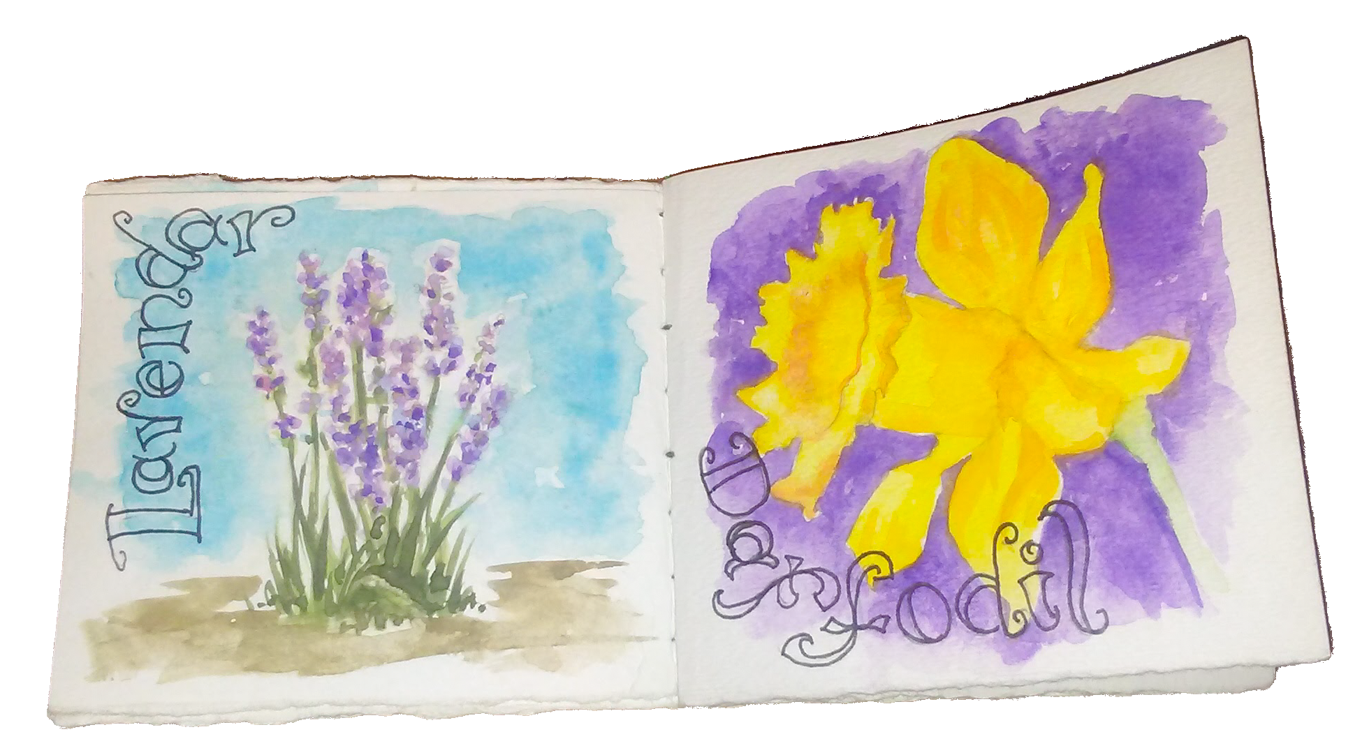 To Lavender Daffodils