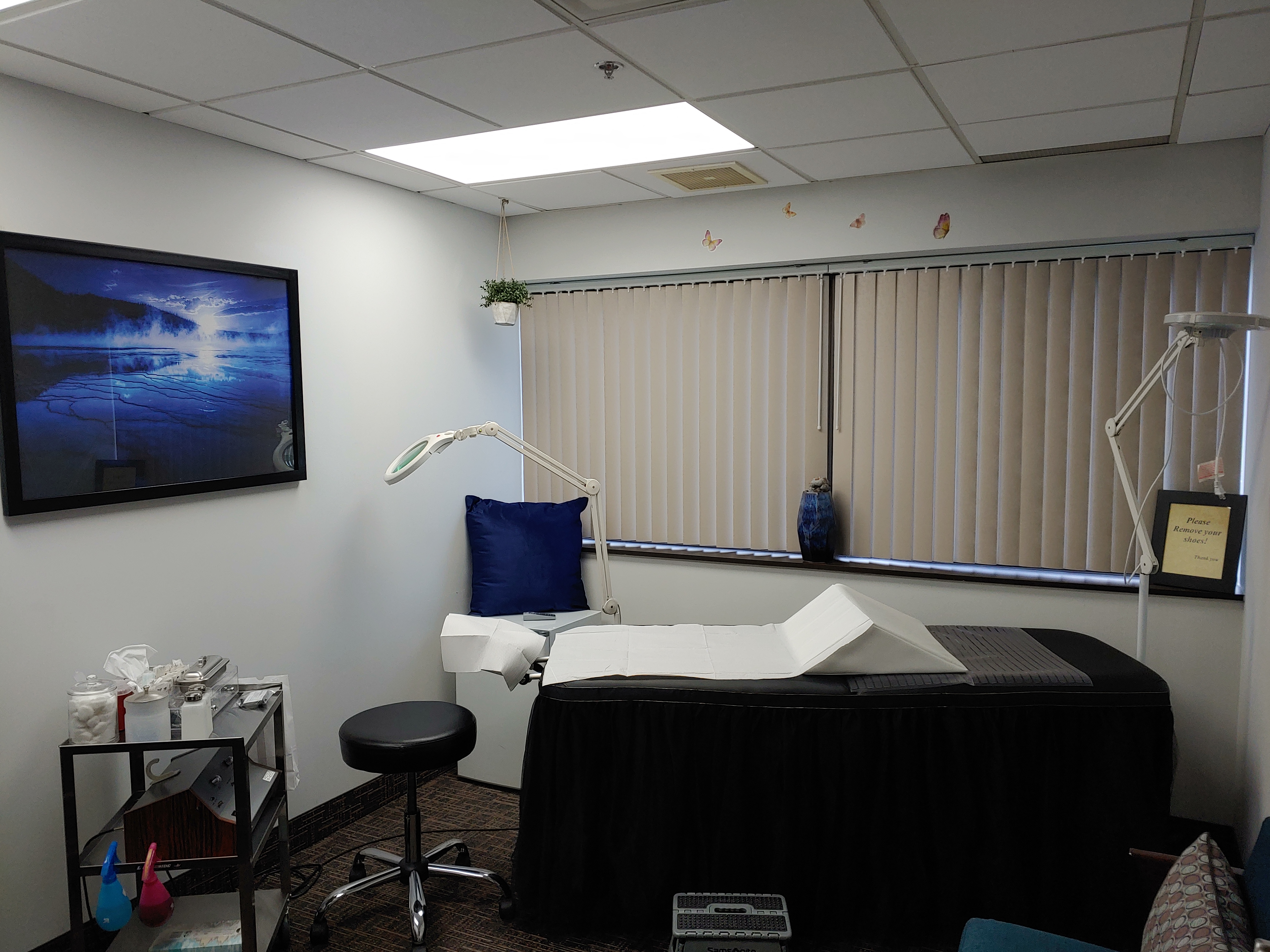 Electrolysis Hair Removal Electrologists Minneapolis