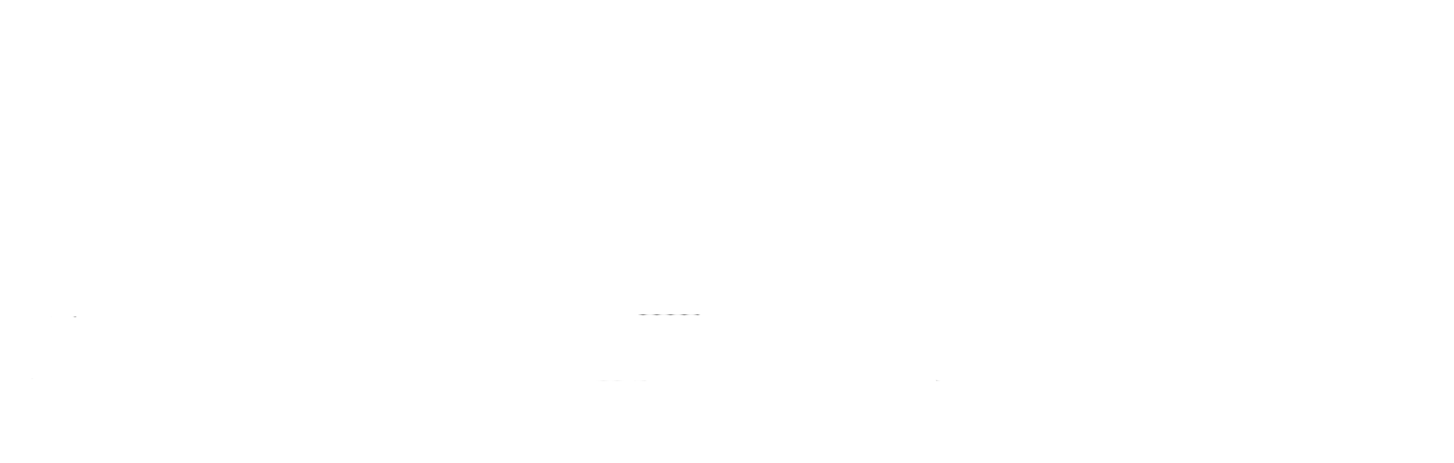 Iron Elegance Security Doors