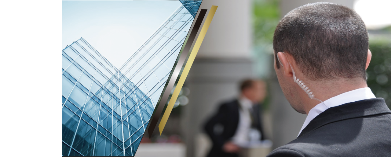 OFICIALES DE SEGURIDAD