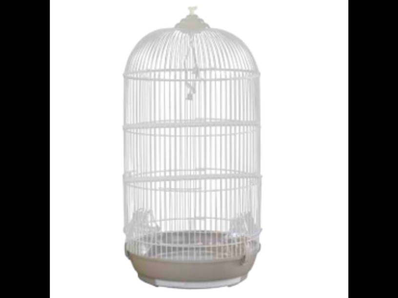 SP-2825 JAULA AVES AVY BOX 
IMPORTADA 42X70CM