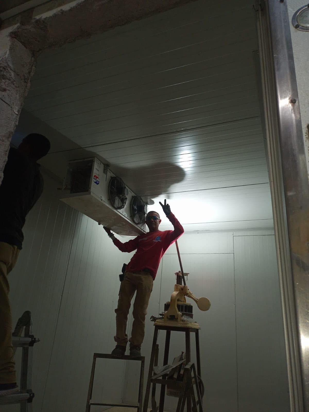 Pasillo de supermercado con vitrinas refrigeradas, repletas de frutas y verduras frescas.