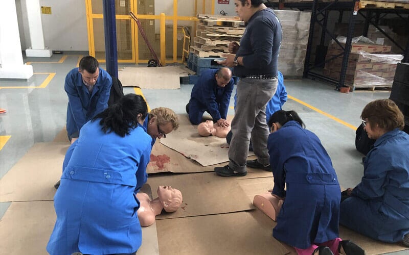 Seguridad e Ingeniería Consultores SA de CV - PRIMEROS AUXILIOS
