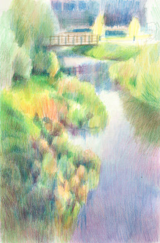 Ecology Park Pond series #12