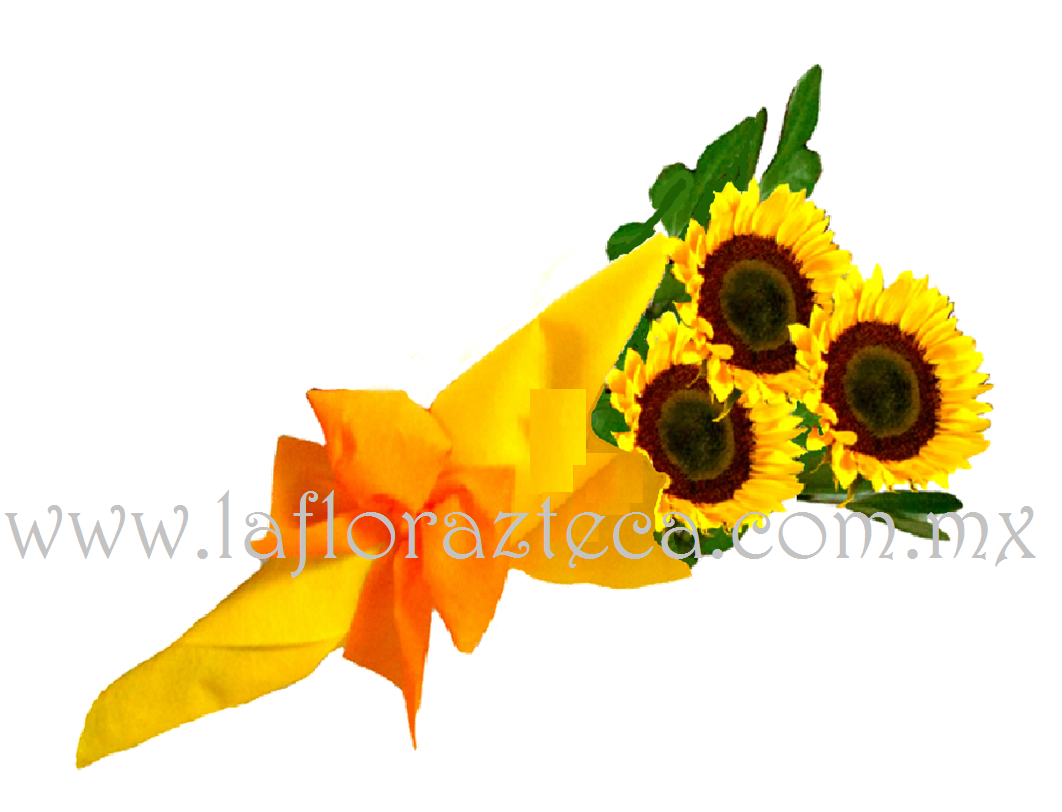 MD - 147  $465
Bouquet de 3 enormes girasoles