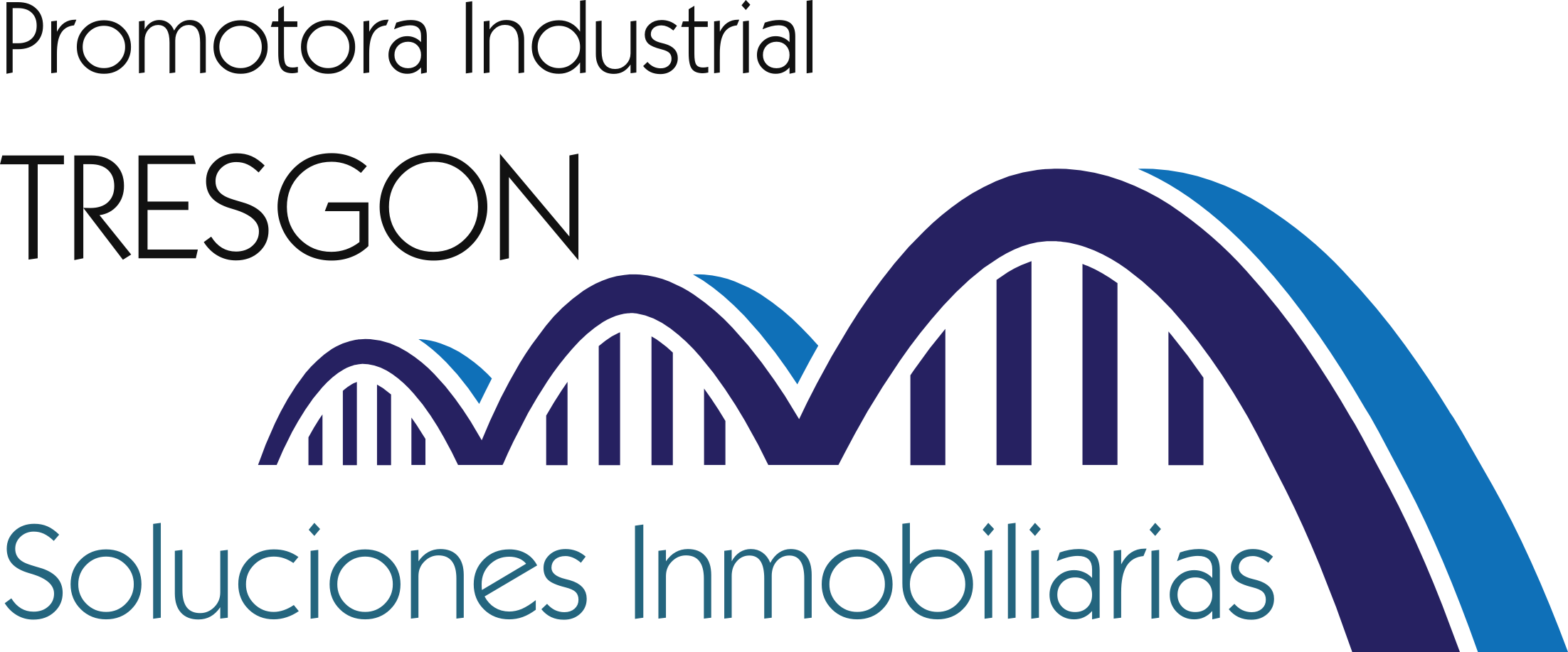 PROMOTORA INDUSTRIAL TRESGON SA DE CV