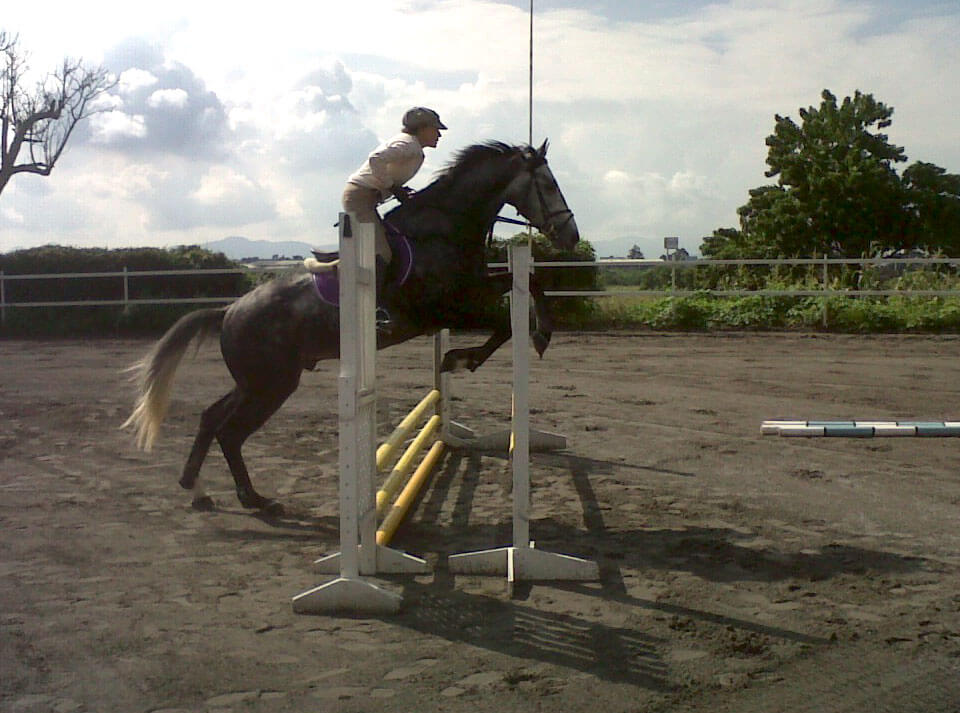 CENTRO HÍPICO MORELOS A.C. - PENSION DE CABALLOS
