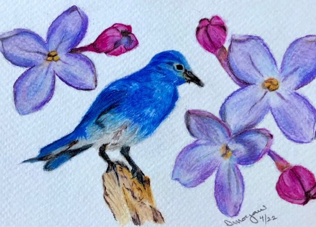 State Bird/Flower
ID: Mtn Bluebird/Lilac
4x6 Coldpress Watercolor Paper