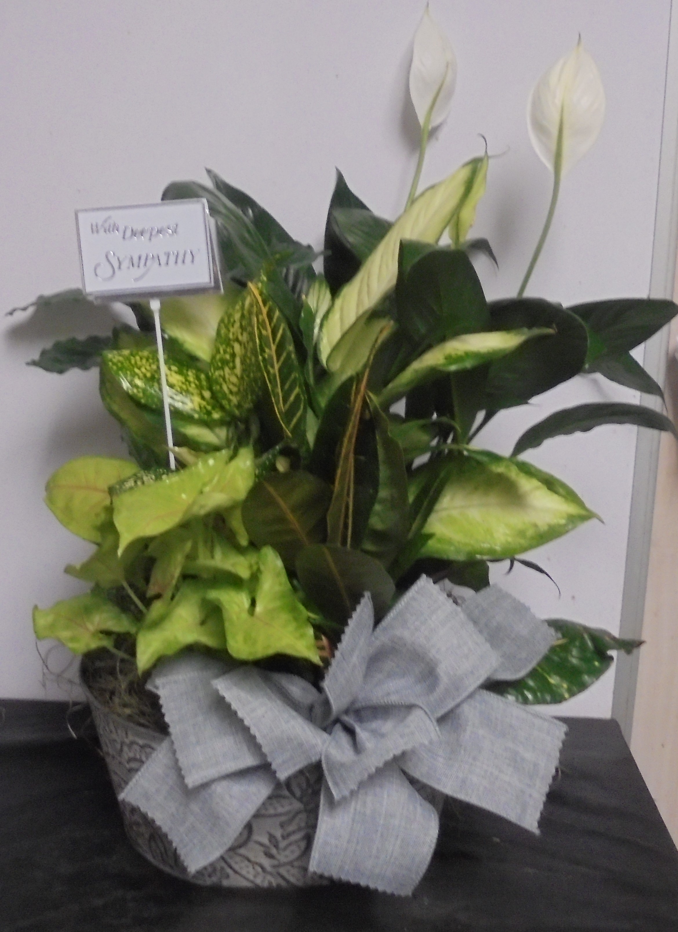 (8) Dish-Garden Plant (Metal)
$65.00