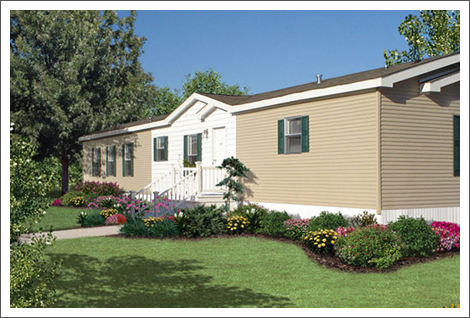 Home improvement products||||